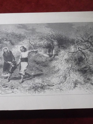 Chios Island engraving used, mastic collection