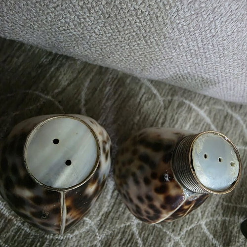 Salt and pepper set made of natural shell like new
