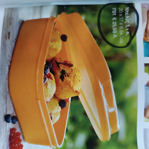 Tupperware Delis 1.1L container new