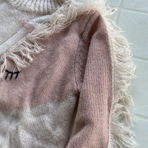 H&M girls' clothing set with unicorn turtleneck sweater and hooded zip jacket