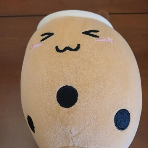 Boba Tea pillow from Shein like new with silicone clip