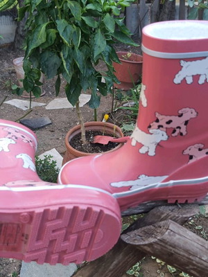 Children's rain boots new no 24 with lining