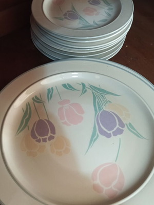 Dinnerware set with painted design 12 pieces like new