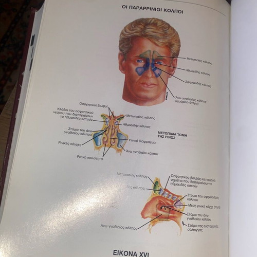 Medical Dictionary English-Greek and Greek-English used
