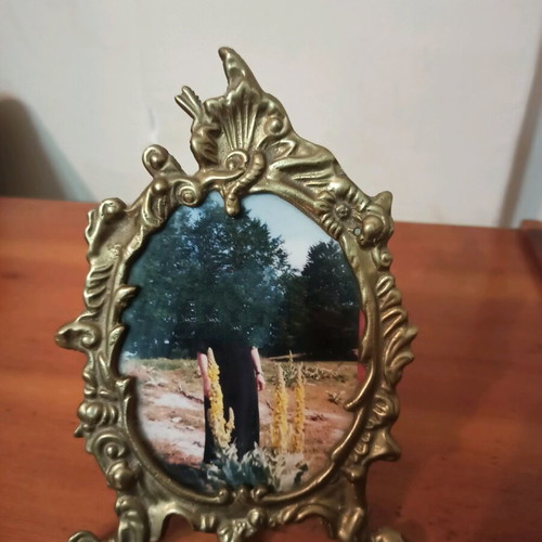 Bronze Victoria Style Photo Frame like new, ornate carved design