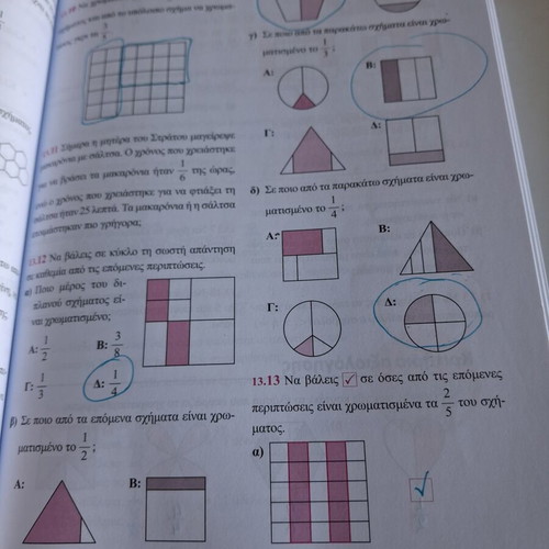 Savvalas Mathematics Grade 5 textbook like new