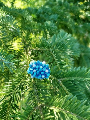 Handmade knitted ring new, white and blue