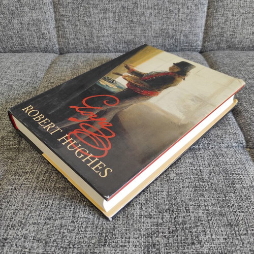Goya by Robert Hughes book