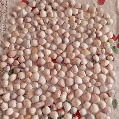 Sea decorative elements like new for crafts and home decoration