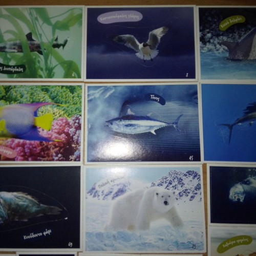 AB Vasilopoulos Exploring the Ocean sticker set with 39 stickers and 2 tattoos
