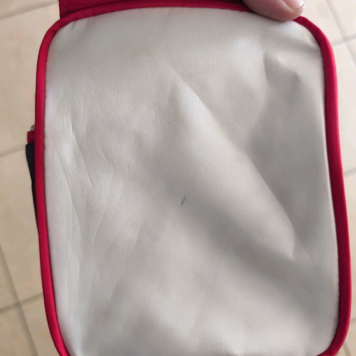 Winston Beach Bag like new