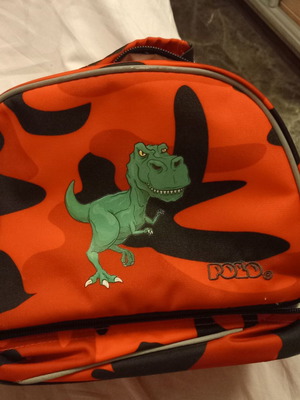 Polo Dinosaur Lunch Bag like new, insulated and spacious