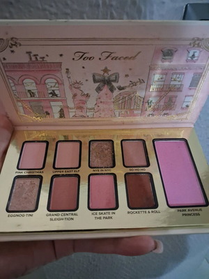 Too Faced eyeshadow palette used with blush