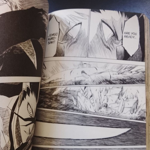 Bleach Volume 19 used, English