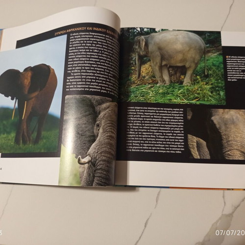 The Encyclopedia of Animals Volume 9 used, Elephants and Giants of the Animal Kingdom