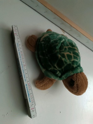 Plush turtle used