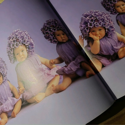 Book with photographic material by Anne Geddes new