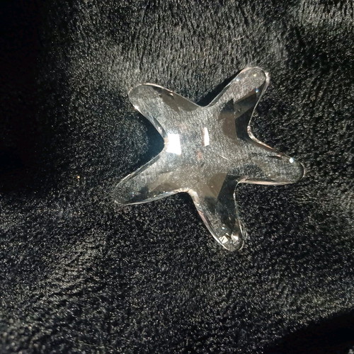 Swarovski starfish design 2005 new