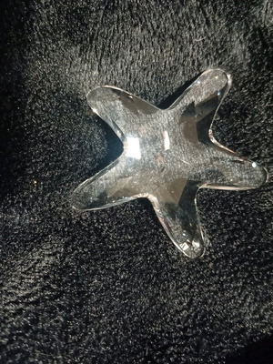 Swarovski starfish design 2005 new