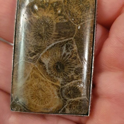 Fossil coral pendant necklace new, silver plated, handmade