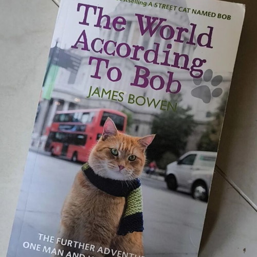 The World According to Bob by James Bowen