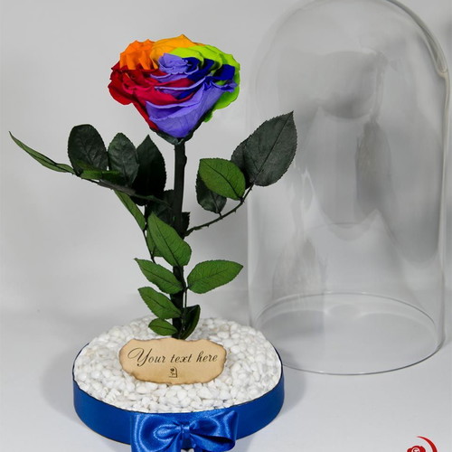 Rainbow Eternal Rose in Large Glass Dome made to order