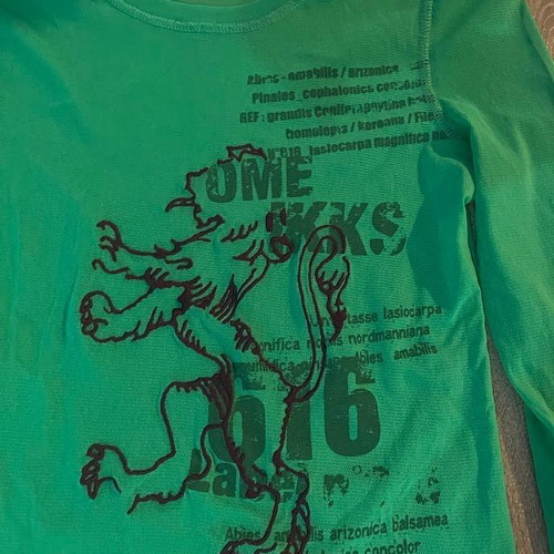 Long-sleeve top like new, green with graphic prints