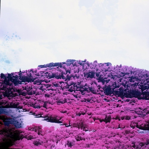 Aerochrome color infrared medium format film used