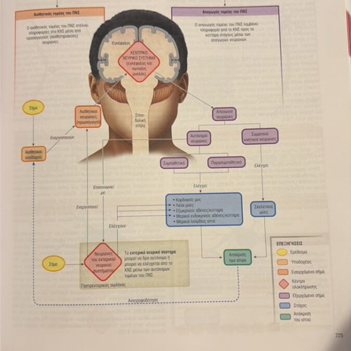 Human Physiology book new