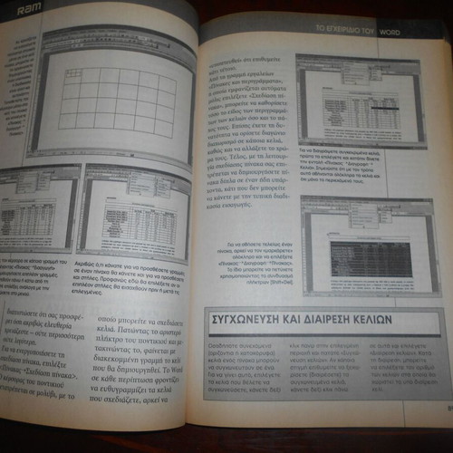 Ram-Word 2003 The Absolute Guide used