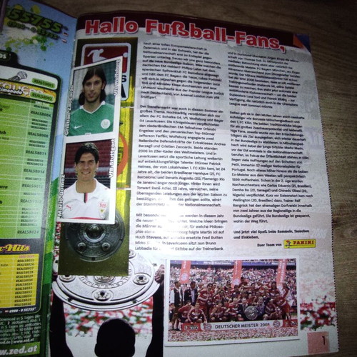 Panini album Bundesliga 2008-2009 used