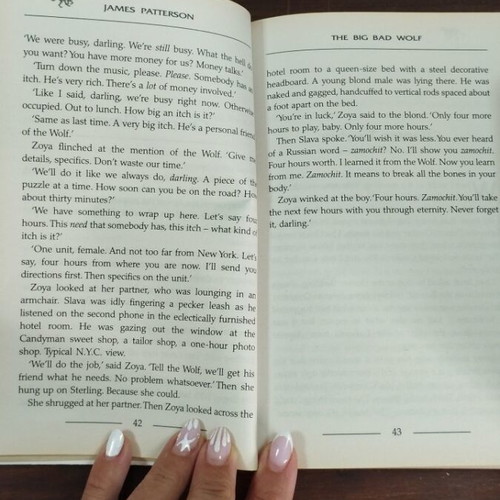 The Big Bad Wolf by James Patterson new English edition