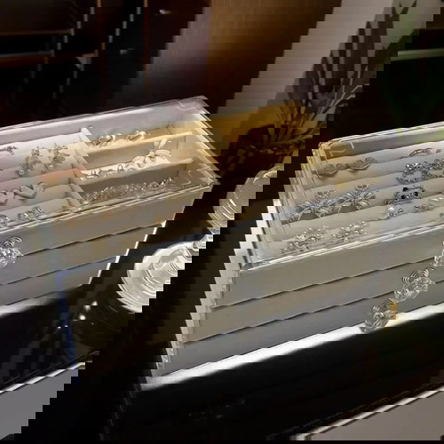 Ακρυλική οργάνωση κοσμημάτων με βελούδινο εσωτερικό