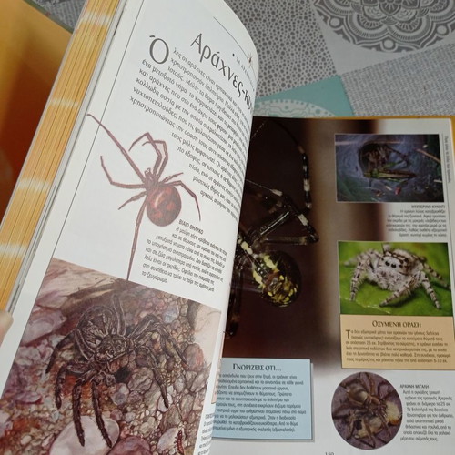 Great Children's Encyclopedia Animal Kingdom 1 used