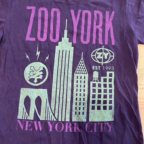 Zoo York T-shirt with graphic print, like new, size medium