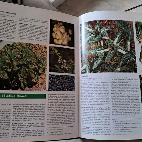 The Wonderful World of Plants used volumes 1 & 3, vegetables and fruits