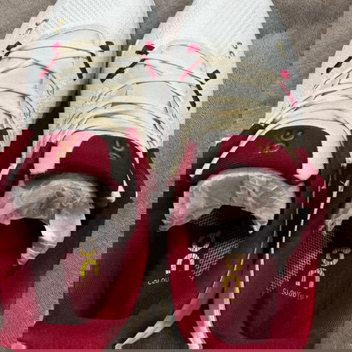 On Cloud Tilt αθλητικά παπούτσια καινούργια, πολύχρωμα μέγεθος 41