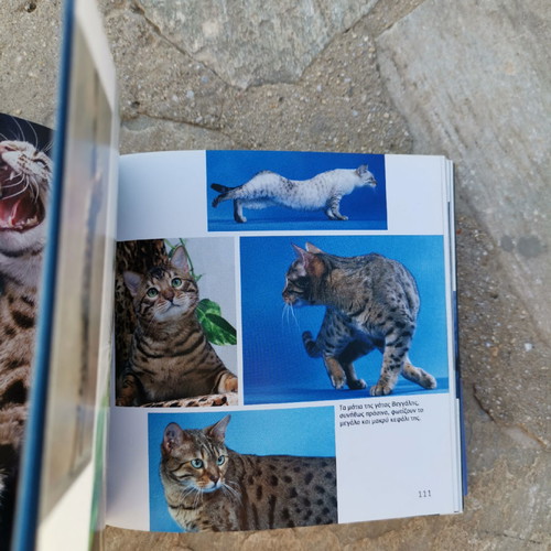 Book 1001 Cats without damage