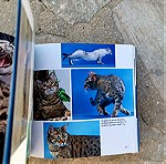  Βιβλίο 1001 γάτες