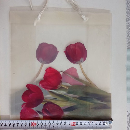 Plastic packaging bags with flowers used, pack of 2