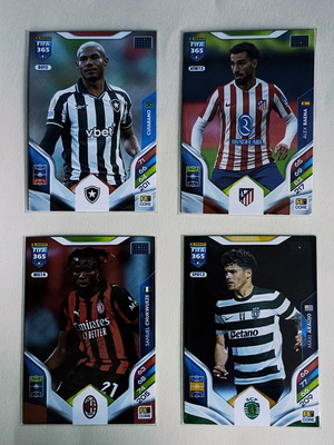 Panini FIFA 365 Adrenalyn XL 2025 cards used, team collection