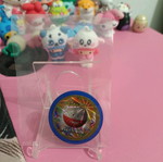 Pokémon tag like new