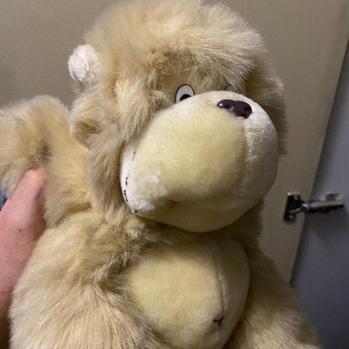 Stuffed monkey used