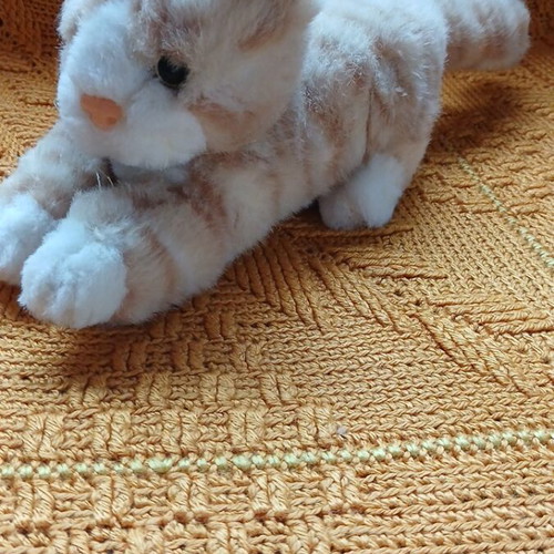 Plush Cat With Music Used