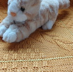 Plush Cat With Music Used