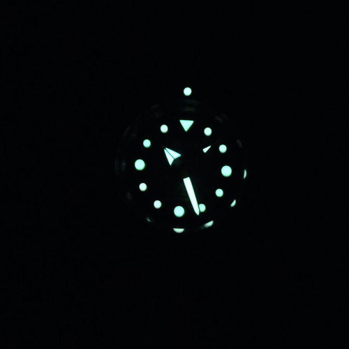 Seiko Mod Skx Antarctica Penguin Special Edition 42mm NH35 Automatic Watch
