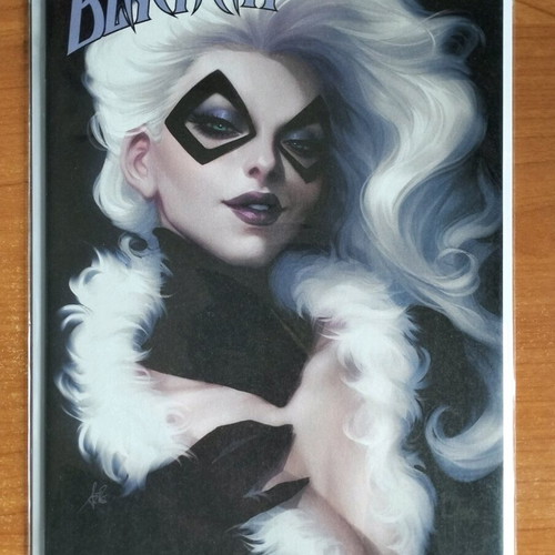 Black Cat #1 Variant Cover like new