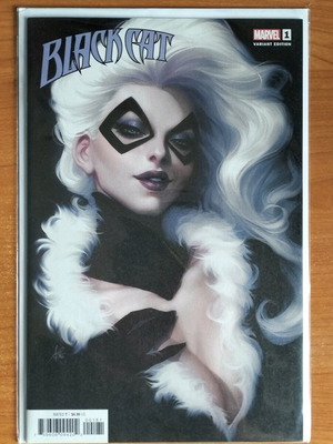 Black Cat #1 Variant Cover like new