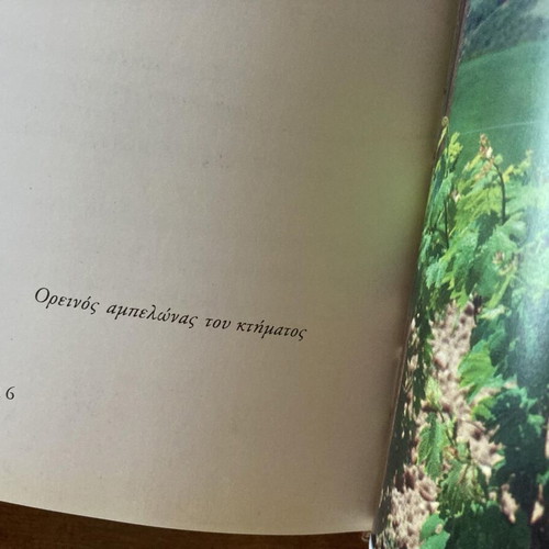 Ampelourgein used book