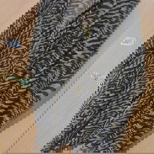 Διαφανη  τουνικ  animal print φαρδιά  γραμμή  ένα μέγεθος